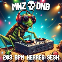203 bpm herres sesh