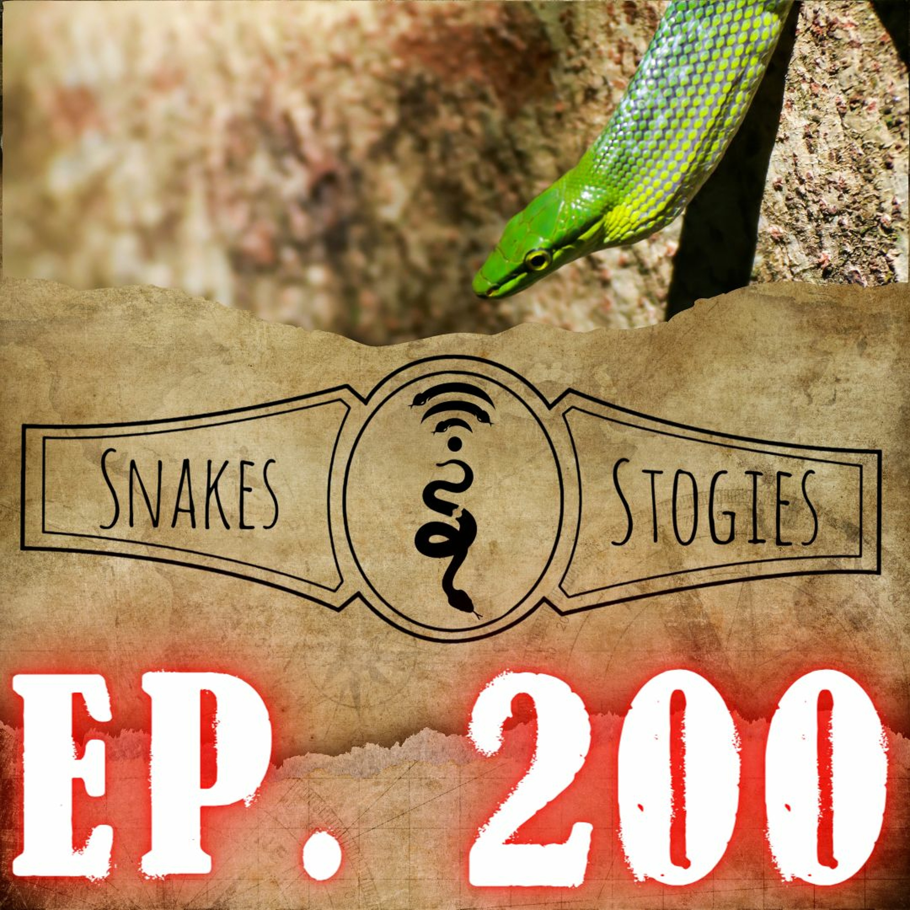 Matt Most | Snakes & Stogies Ep. 200