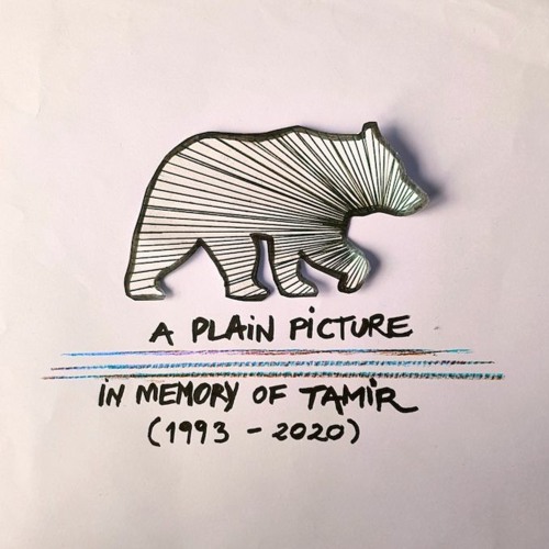  Stream strobosskobot 