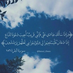 سورة البقرة (185-186) | القارئ أنس براق