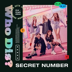 SECRET NUMBER - Who Dis? cover by 3luckyluck01