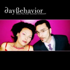 Daybehavior - MonAmi (VZ Remix)