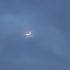 Especial *prod blue songs