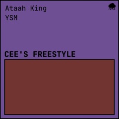 Cee's Freestyle [produced by YSM]