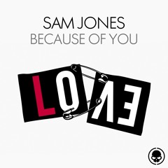 Sam Jones - Because Of You - Skullduggery
