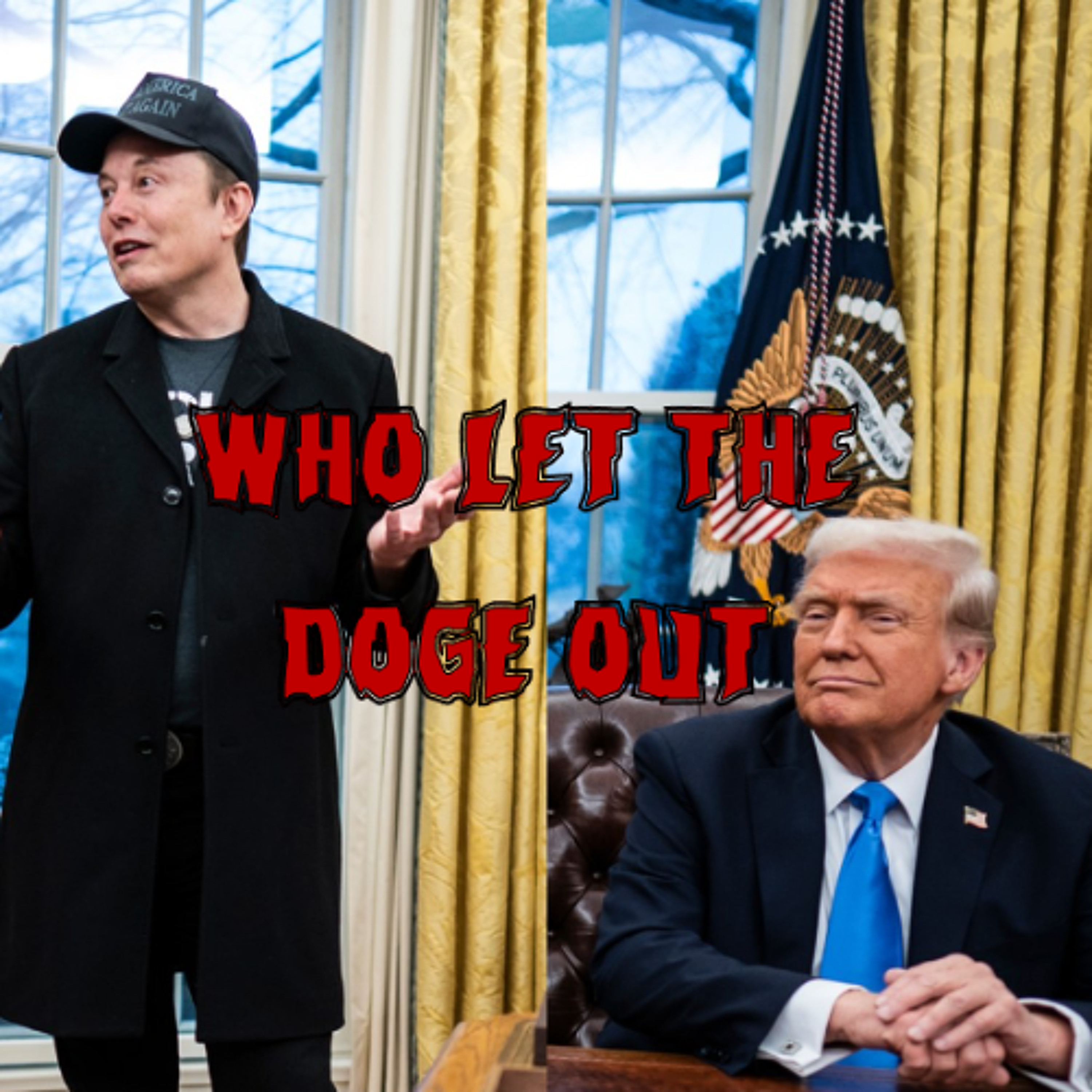 394. Who Let the DOGE Out