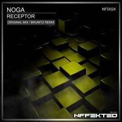 Noga - Receptor (Brunitz Remix)