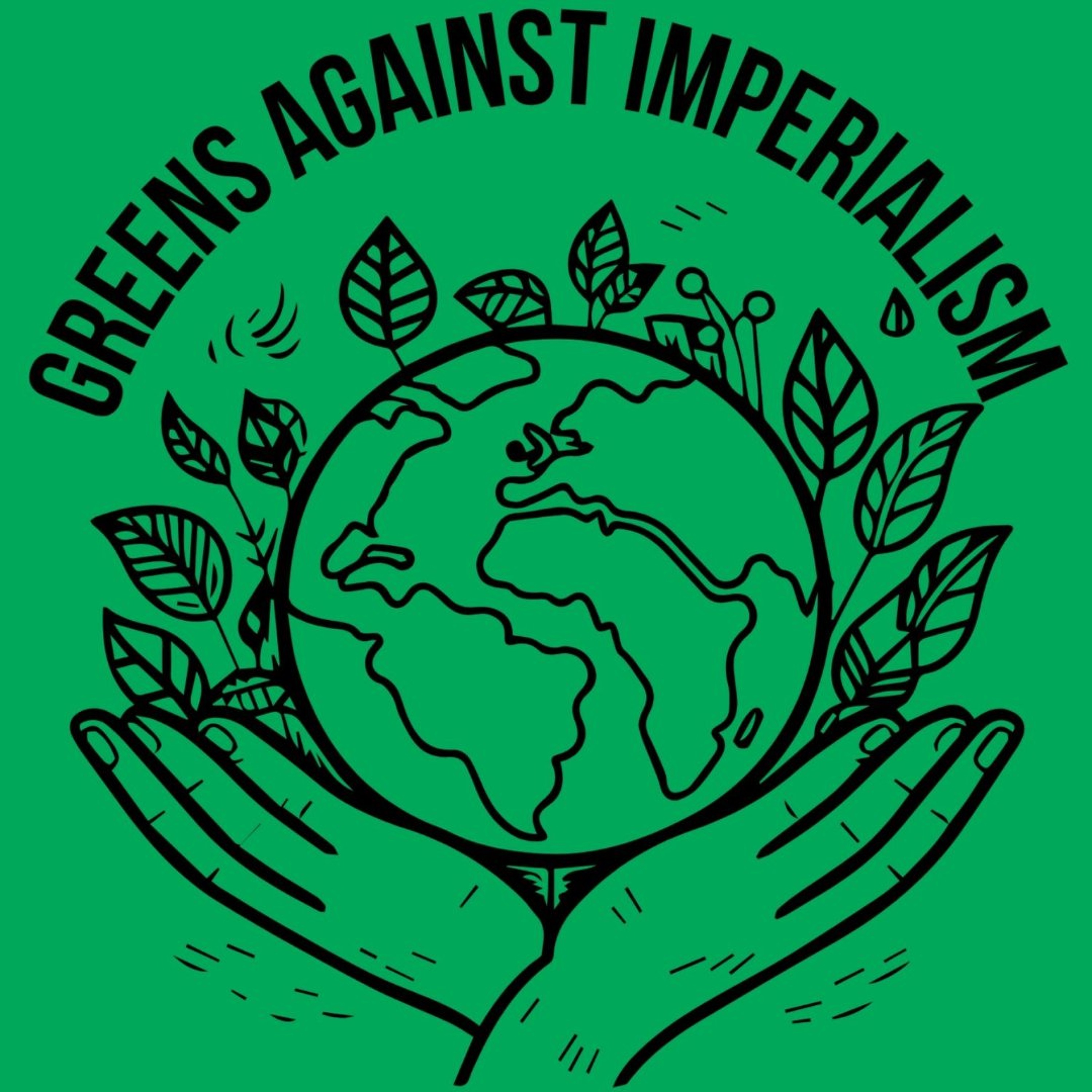 The Green party under fire