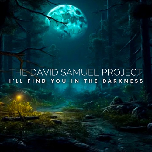I'll Find You In The Darkness - David Samuel