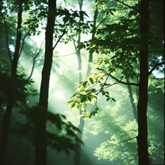숨결 (Breath)