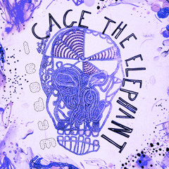 Ain't no rest for the wicked - Cage The Elephant (LeOdUm Flip)