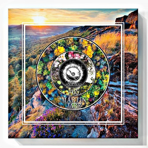 SPACE VIEWX [#65] Martin Jarl [Sweden Dub Techno]