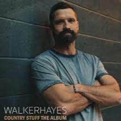 WALKER HAYES-FANCY LIKE REMIX