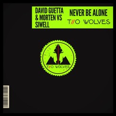 David Guetta & Morten VS Siwell Feat. Aloe Blacc - Never Be Alone (Two Wolves Mashup Tech House Mix)