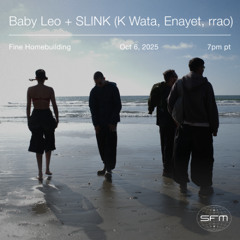 Fine Homebuilding 12: Baby Leo + SLINK (K Wata, Enayet, rrao)