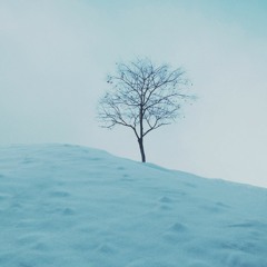 winter — Linearwave x FIFexclamation x ao