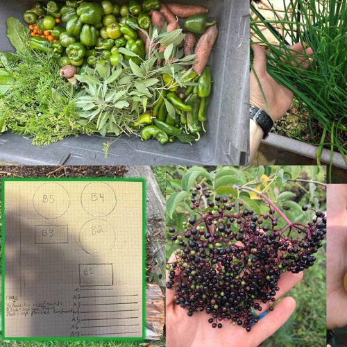 Prepping 201: Gardening - Building A Food Supply For Yourself & Those In Need