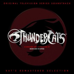Thundercats Casual