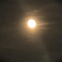 Squidrific - Sipgz (DJBRIEF EXCLUSIVE)