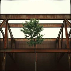Rust and Grace