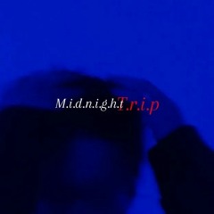 Midnight Trip