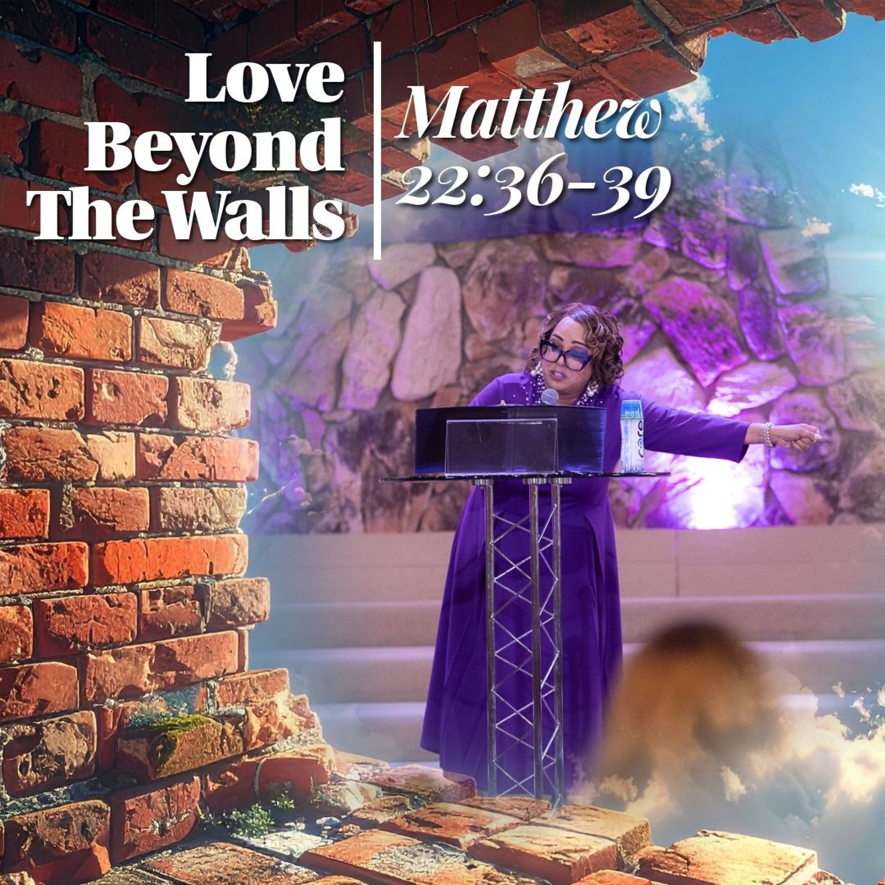 Love Beyond The Walls 8-16 episode artwork