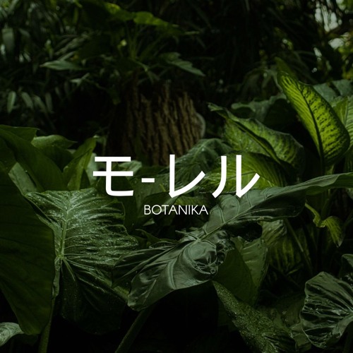 モ-レル | Botanika