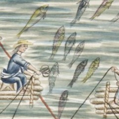 Pez de luna bruñida no se pesca
