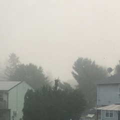 why would you want to die?