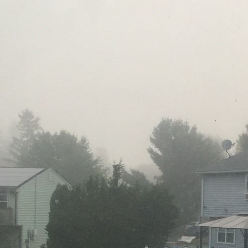 why would you want to die?