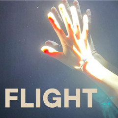 Flight