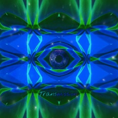 Transmission