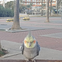 Моя свобода - Jahmal TGK feat. VibeTGK