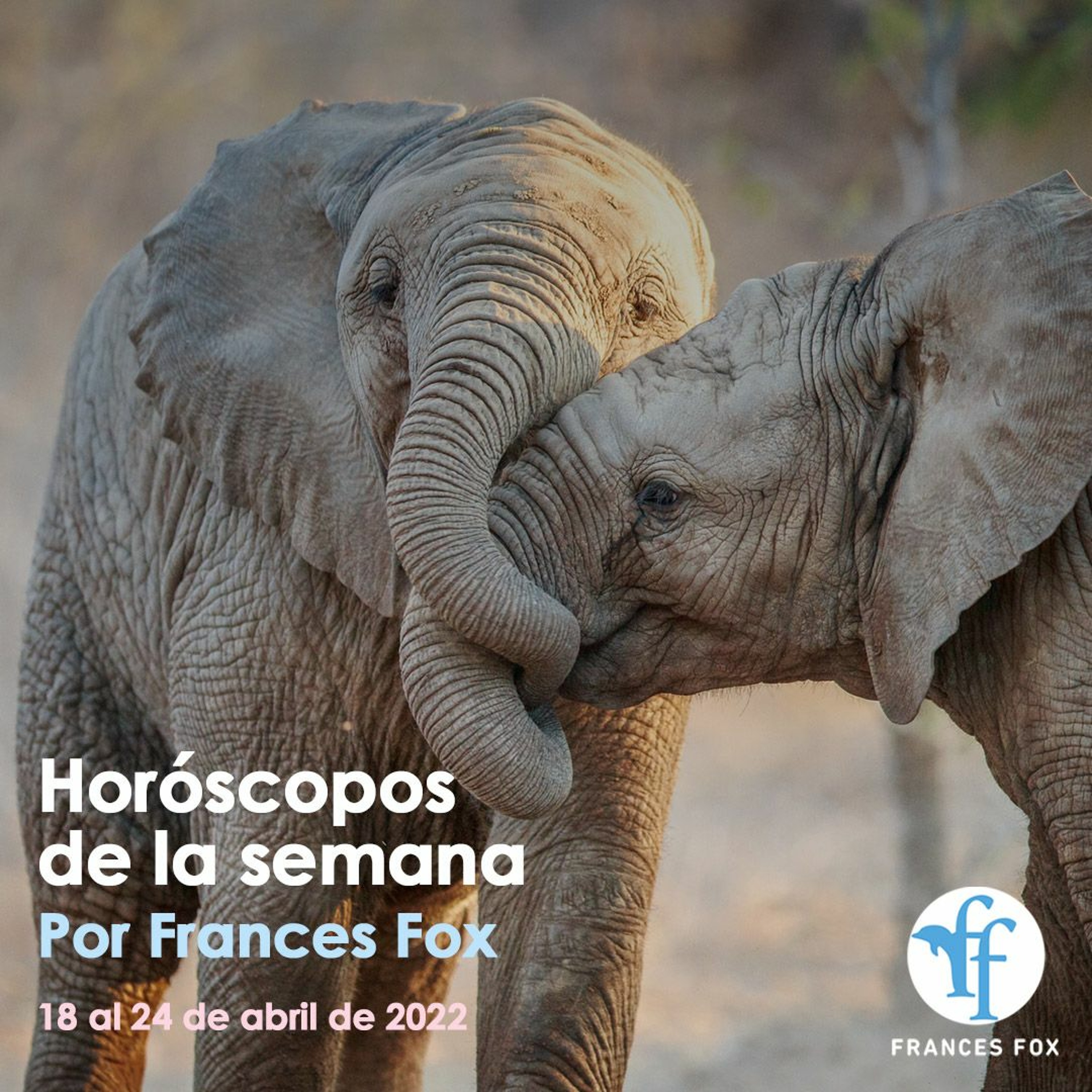 Horóscopos y mantras del 18 al 24 de abril de 2022