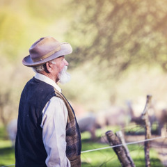 The Shepherd's Call