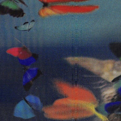 in the past (prod. ry2dxpe)