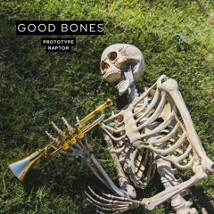 Good Bones
