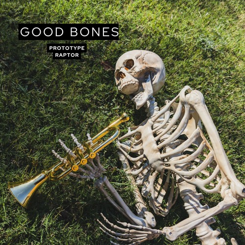 Good Bones