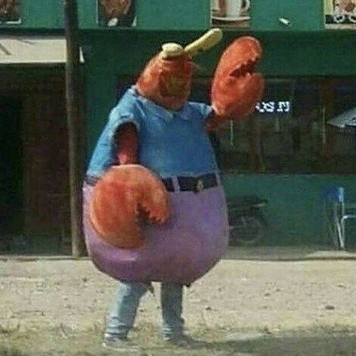 Spongeboi Me Bob ARGARGARG