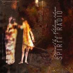 DRUUM  by Spirit Radio