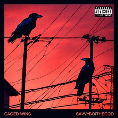 Caged Wing