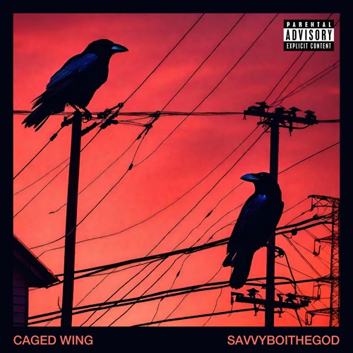 Caged Wing
