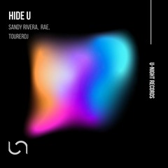 Sandy Rivera, Rae & TourerDJ - Hide U (TourerDJ Mix)