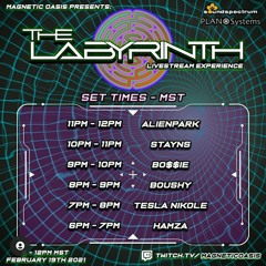MAGNETIC OASIS: THE LABYRINTH - STAYNS MIX