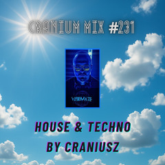 Cranium Mix #231 / House & Techno