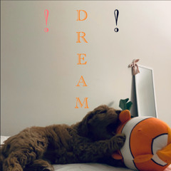 ☁︎ D R E A M ☁︎