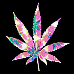 Blizzy Bandzz AKA Blizz “You know how it go”