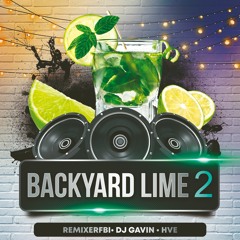DJ Gavin & REMiXERFBi - Backyard Lime Vol 2 [ Live Chutney Session ]