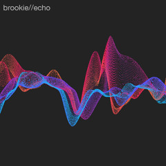 Echo
