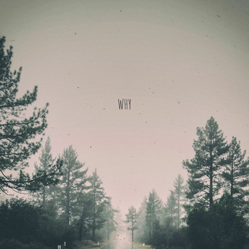 E.lementaL ~ Why [VIP]